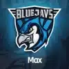 maxbluejays